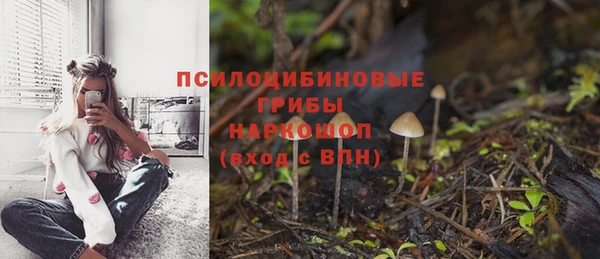хмурый Зеленодольск