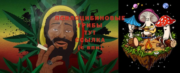 хмурый Зеленодольск