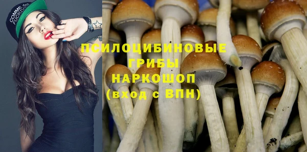 a pvp Зеленокумск
