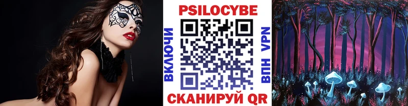 Купить где  Пестово  Галлюциногенные грибы Psilocybine cubensis 